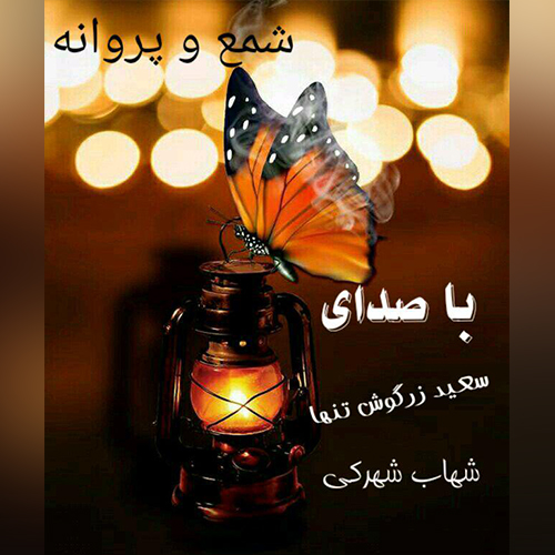 سعید زرگوش تنها شمع و پروانه